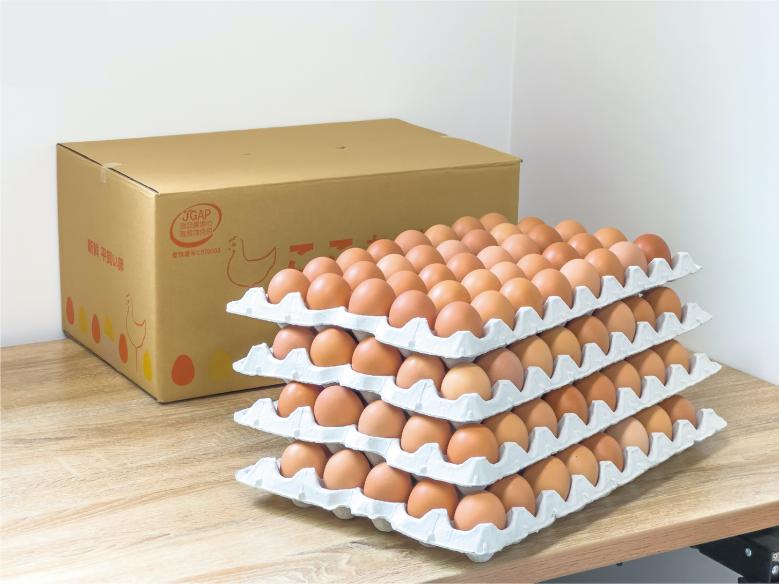 【JGAP認証取得農場】平飼い卵「ここたま」業務用10kg(約160個入) 赤色フリーサイズ