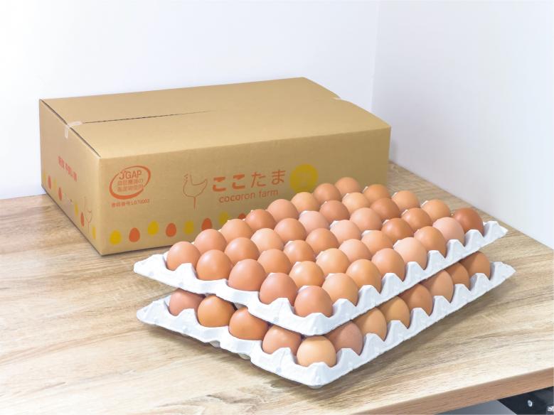 【JGAP認証取得農場】平飼い卵「ここたま」業務用5kg(約80個入) 赤色フリーサイズ
