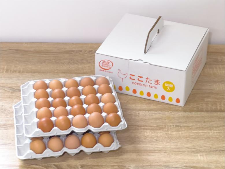 【JGAP認証取得農場】平飼い卵「ここたま」ギフトボックス バラ50個入り 赤色フリーサイズ